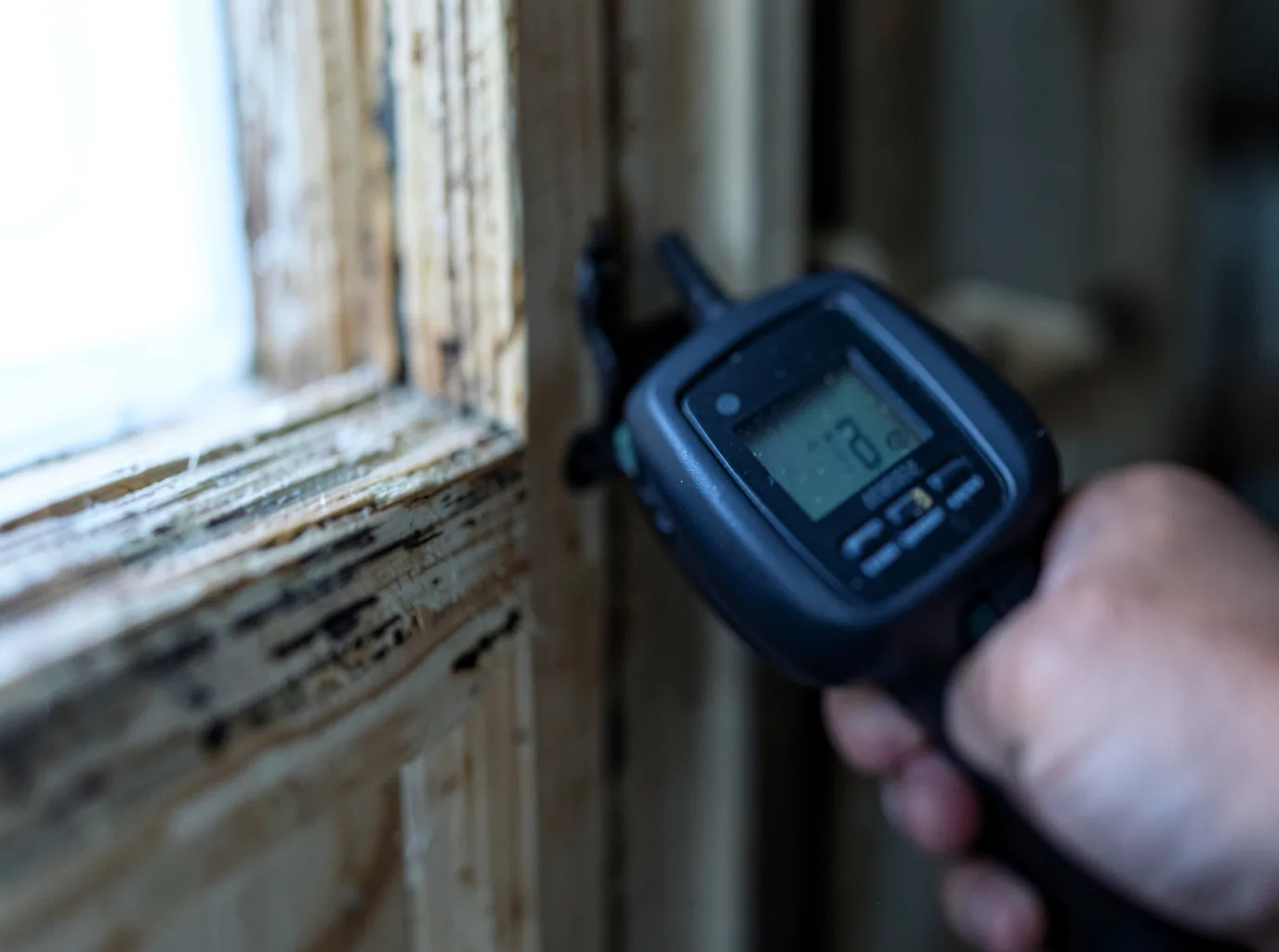 Moisture Inspection And Documentation in Granby, MA
